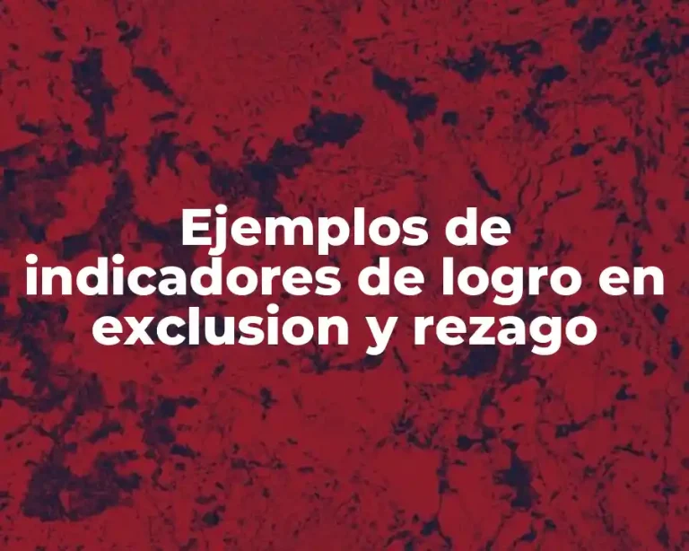 Ejemplos de indicadores de logro en exclusion y rezago