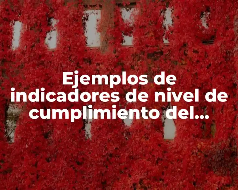 Ejemplos de indicadores de nivel de cumplimiento del proveedor