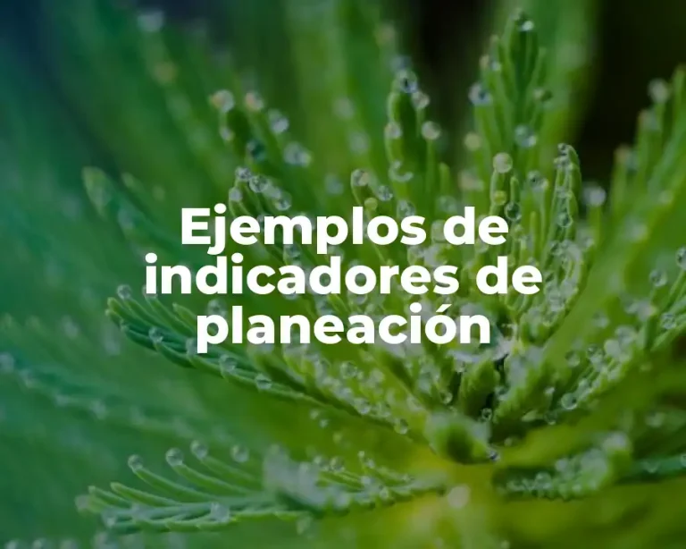 Ejemplos de indicadores de planeación