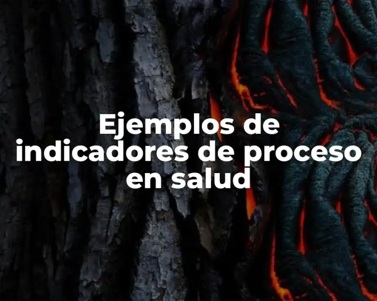 Ejemplos de indicadores de proceso en salud