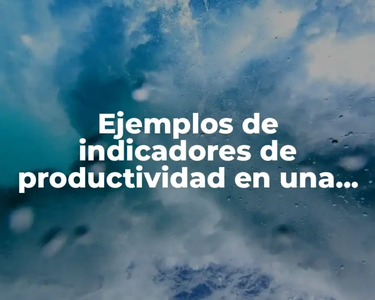 Ejemplos de indicadores de productividad en una empresa de servicios