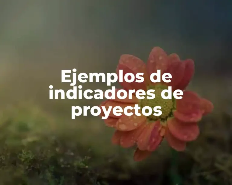 Ejemplos de indicadores de proyectos