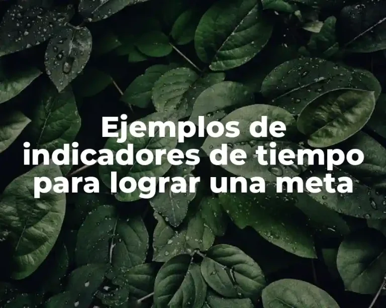 Ejemplos de indicadores de tiempo para lograr una meta