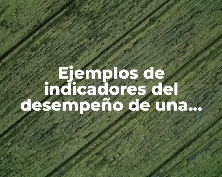 Ejemplos de indicadores del desempeño de una tienda de ropa