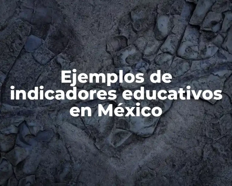 Ejemplos de indicadores educativos en México