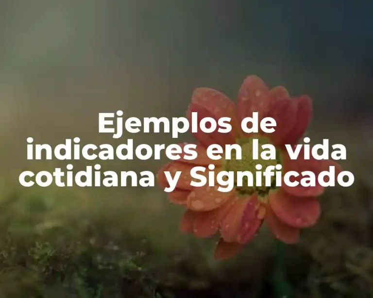 Ejemplos de indicadores en la vida cotidiana y Significado
