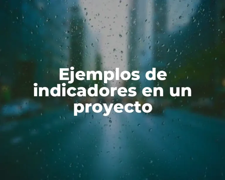 Ejemplos de indicadores en un proyecto
