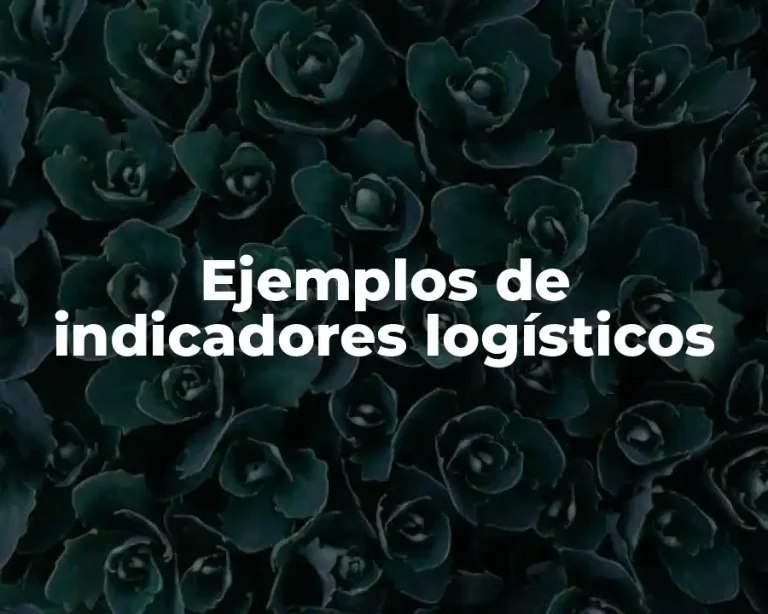 Ejemplos de indicadores logísticos