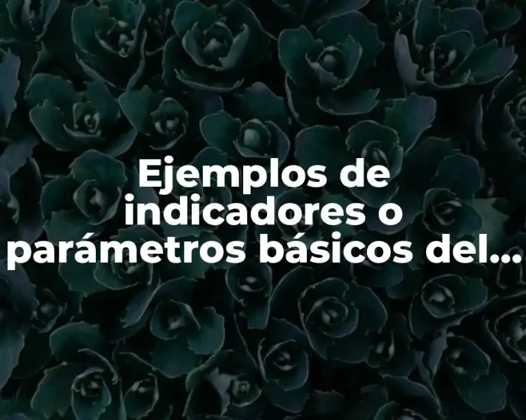Ejemplos de indicadores o parámetros básicos del sistema