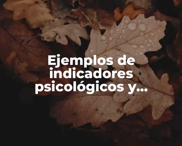 Ejemplos de indicadores psicológicos y Significado