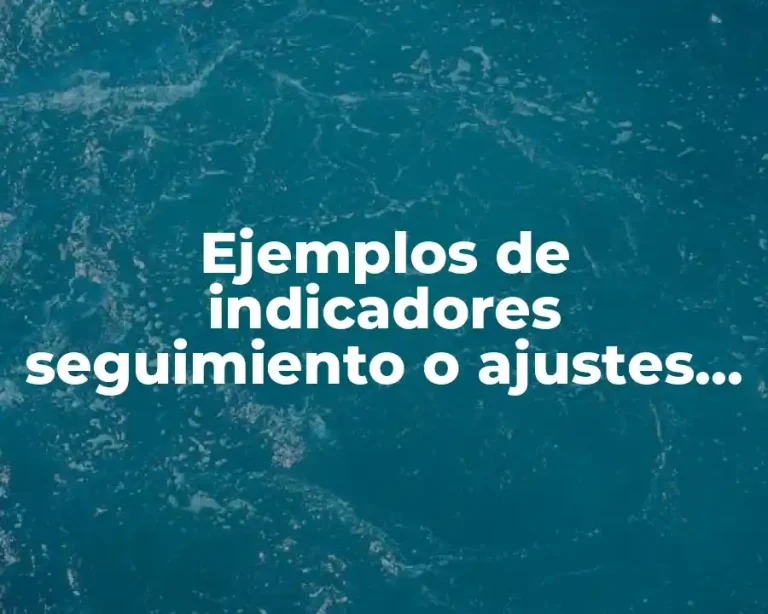 Ejemplos de indicadores seguimiento o ajustes en desarrollo organizacional y Significado