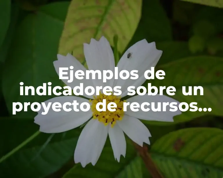 Ejemplos de indicadores sobre un proyecto de recursos humanos