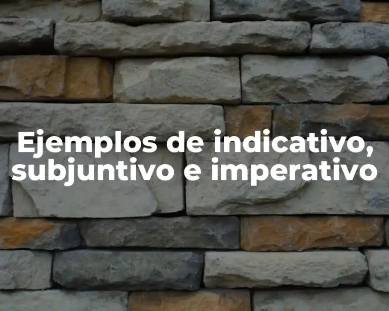Ejemplos de indicativo, subjuntivo e imperativo