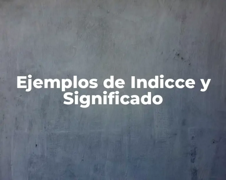 Ejemplos de Indicce y Significado