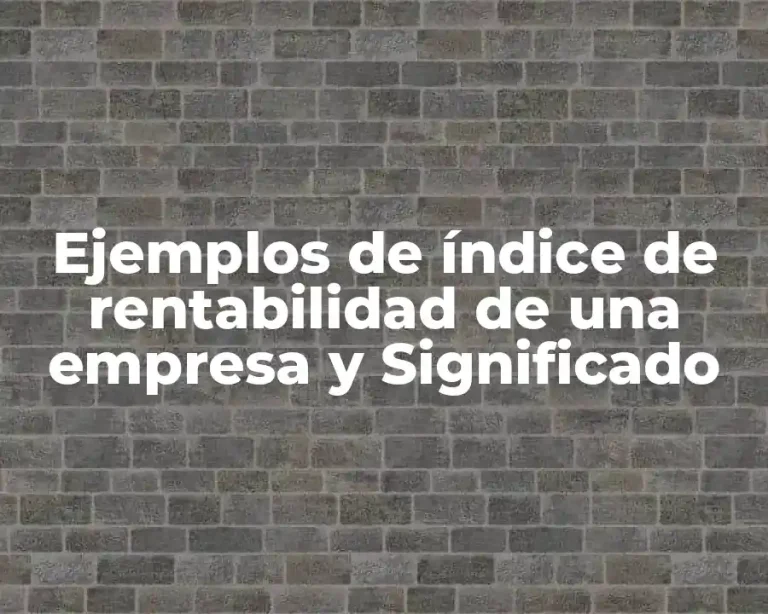 Ejemplos de índice de rentabilidad de una empresa y Significado