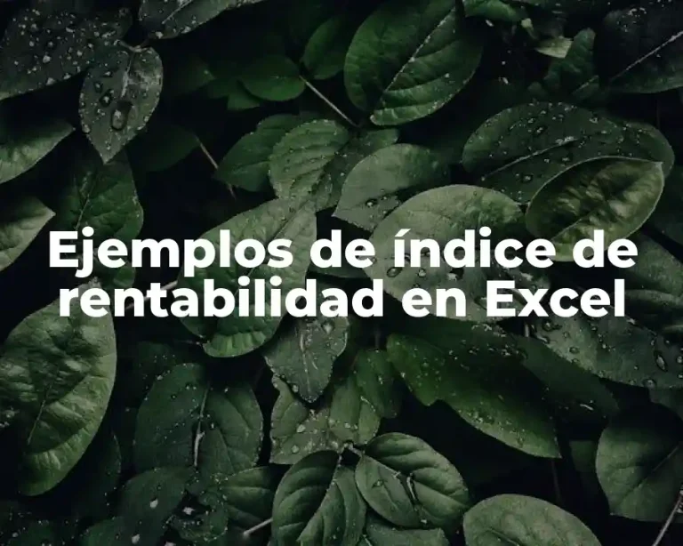Ejemplos de índice de rentabilidad en Excel