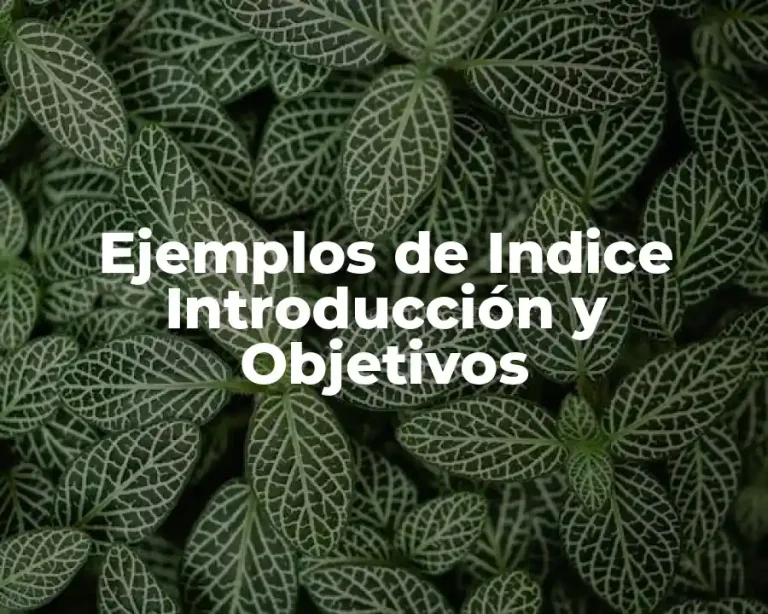 Ejemplos de Indice Introducción y Objetivos