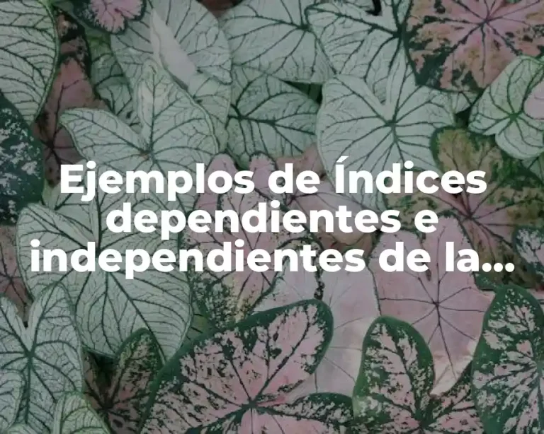 Ejemplos de Índices dependientes e independientes de la distancia y Significado