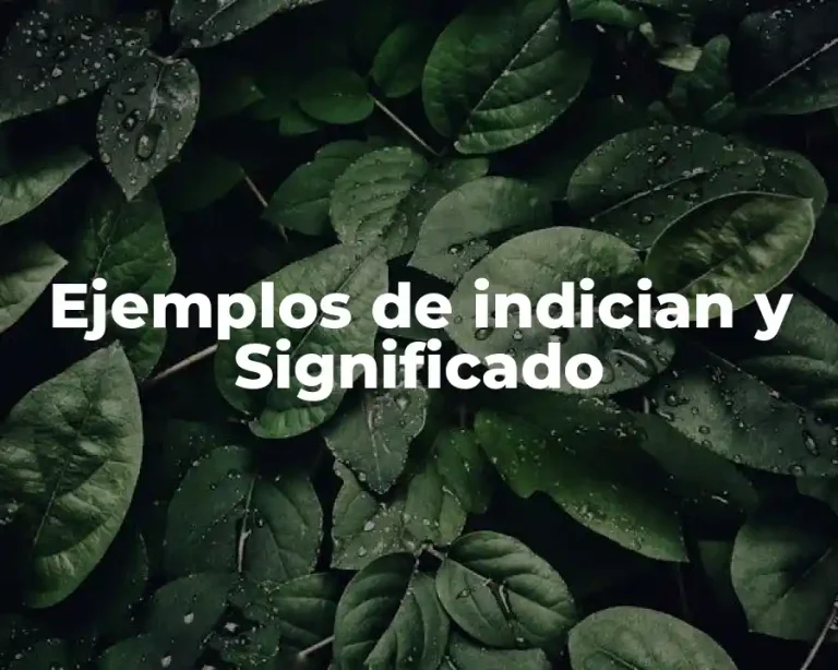 Ejemplos de indician y Significado