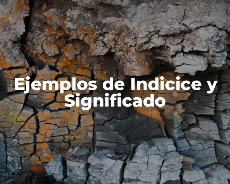 Ejemplos de Indicice y Significado