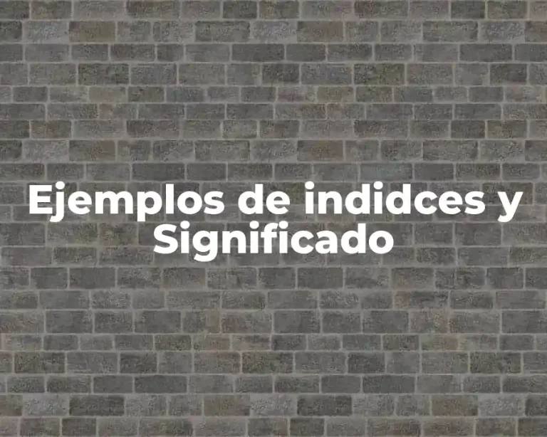 Ejemplos de indidces y Significado