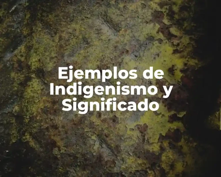 Ejemplos de Indigenismo y Significado