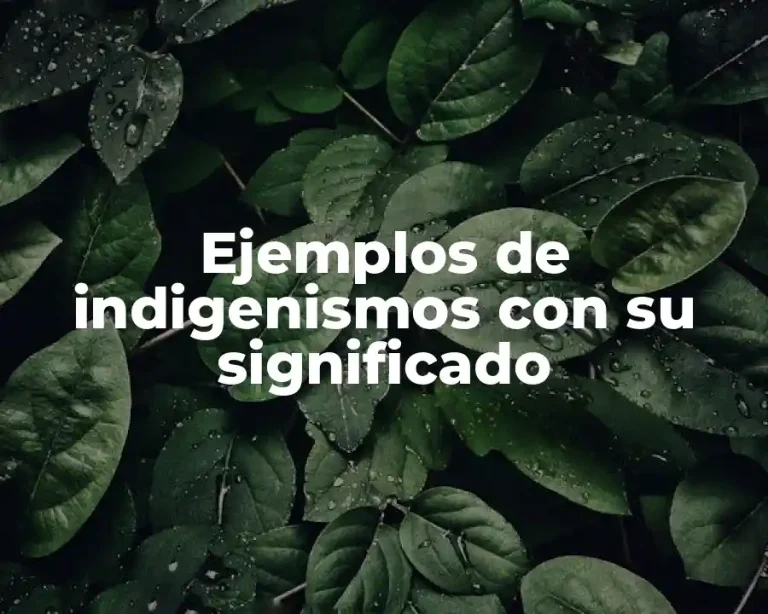 Ejemplos de indigenismos con su significado