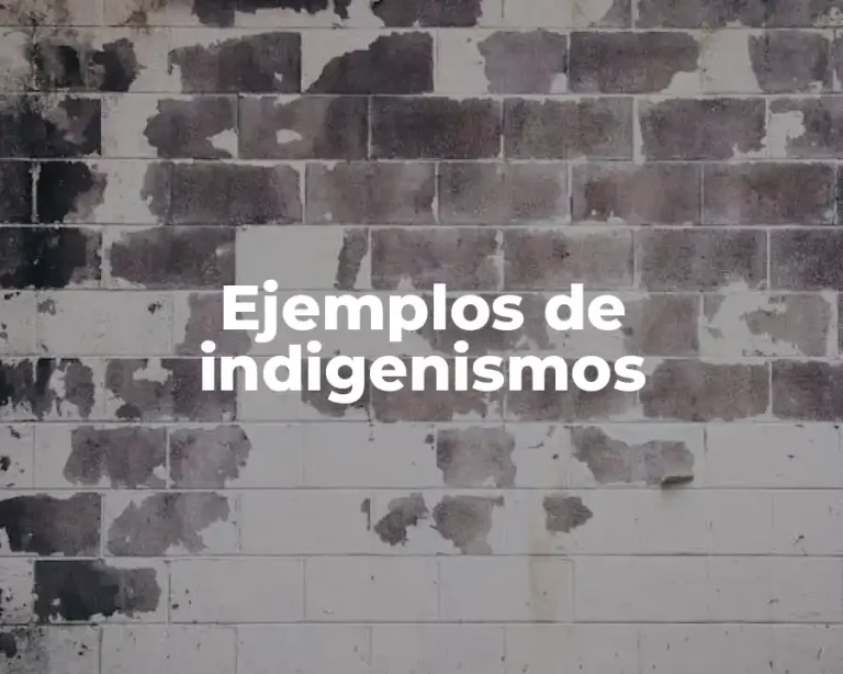 Ejemplos de indigenismos