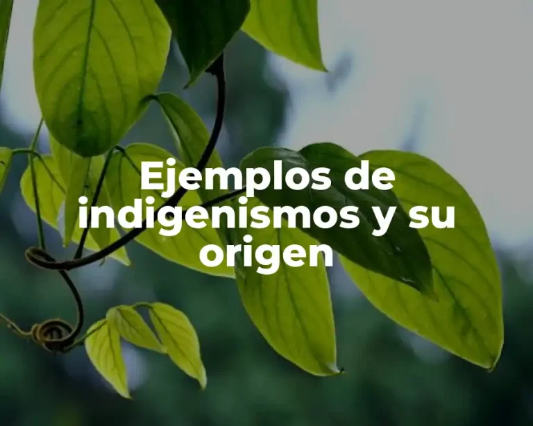 Ejemplos de indigenismos y su origen