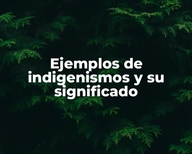 Ejemplos de indigenismos y su significado