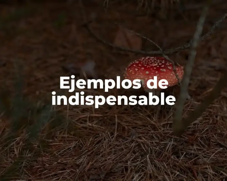 Ejemplos de indispensable