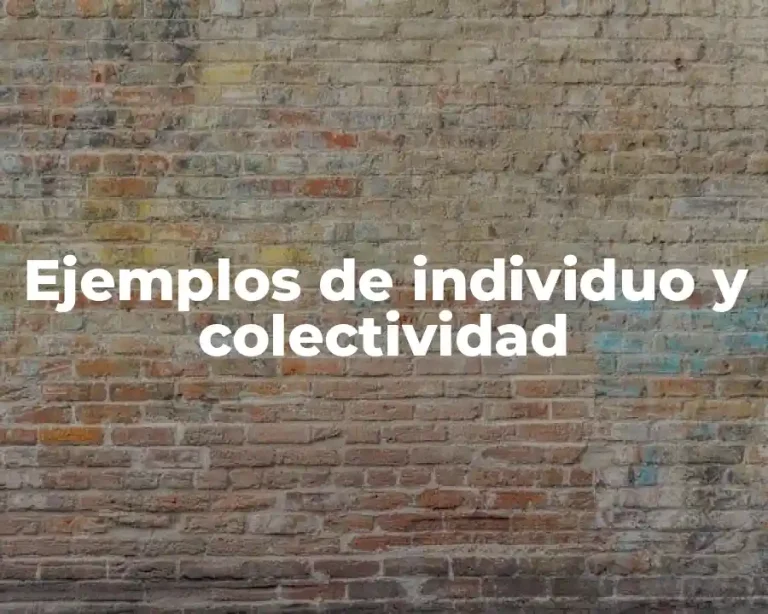 Ejemplos de individuo y colectividad