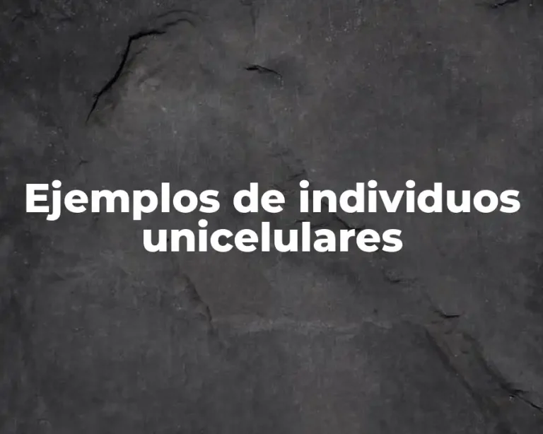 Ejemplos de individuos unicelulares
