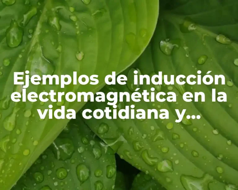 Ejemplos de inducción electromagnética en la vida cotidiana y Significado