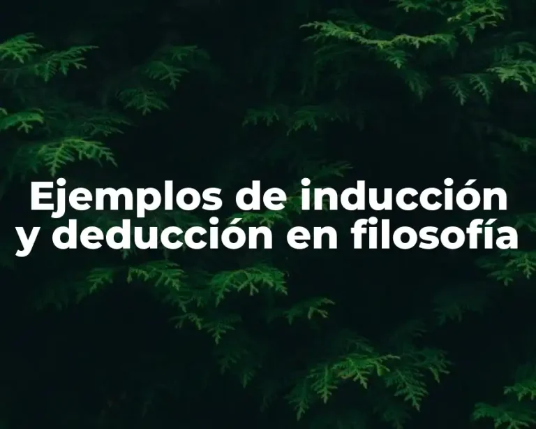 Ejemplos de inducción y deducción en filosofía
