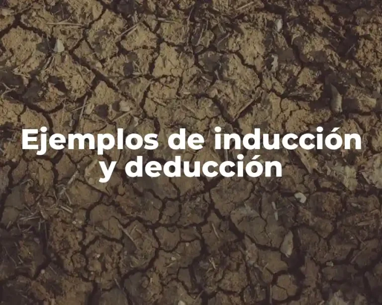 Ejemplos de inducción y deducción