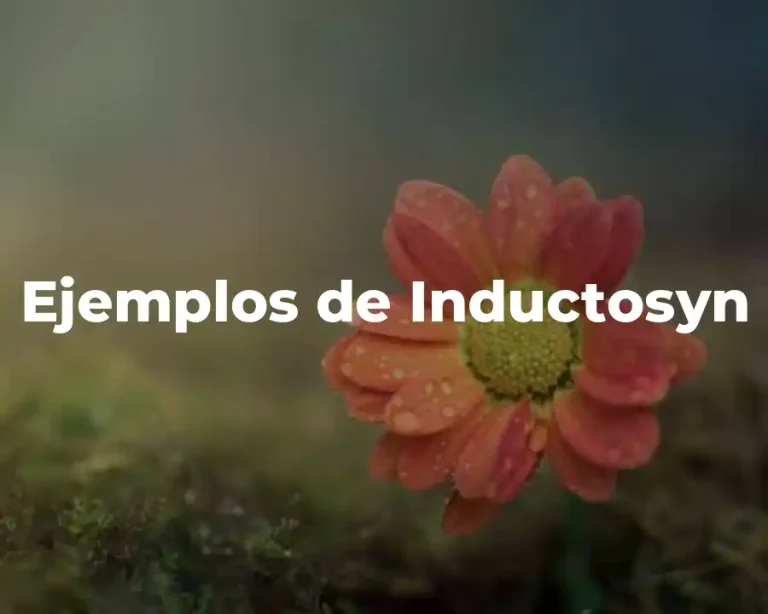 Ejemplos de Inductosyn