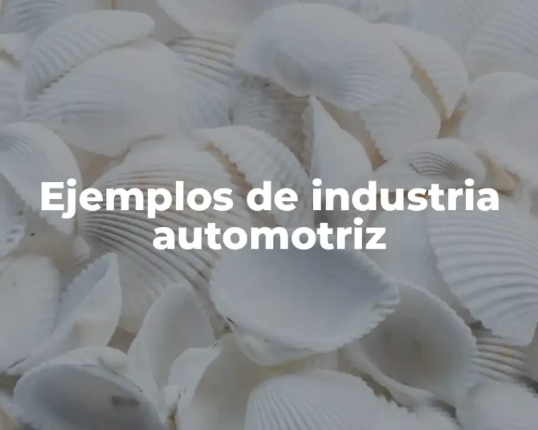 Ejemplos de industria automotriz