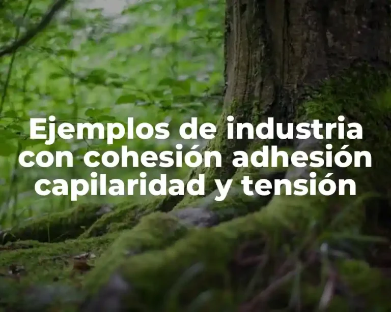 Ejemplos de industria con cohesión adhesión capilaridad y tensión