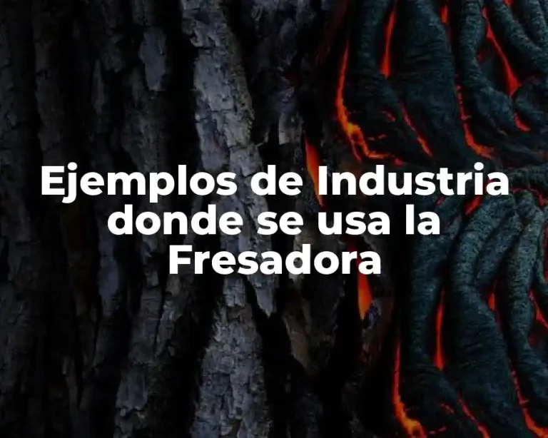 Ejemplos de Industria donde se usa la Fresadora