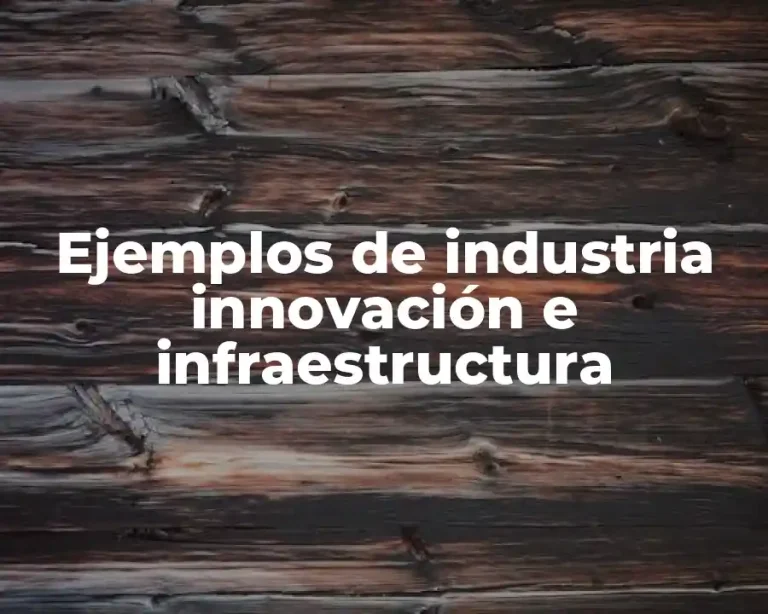 Ejemplos de industria innovación e infraestructura