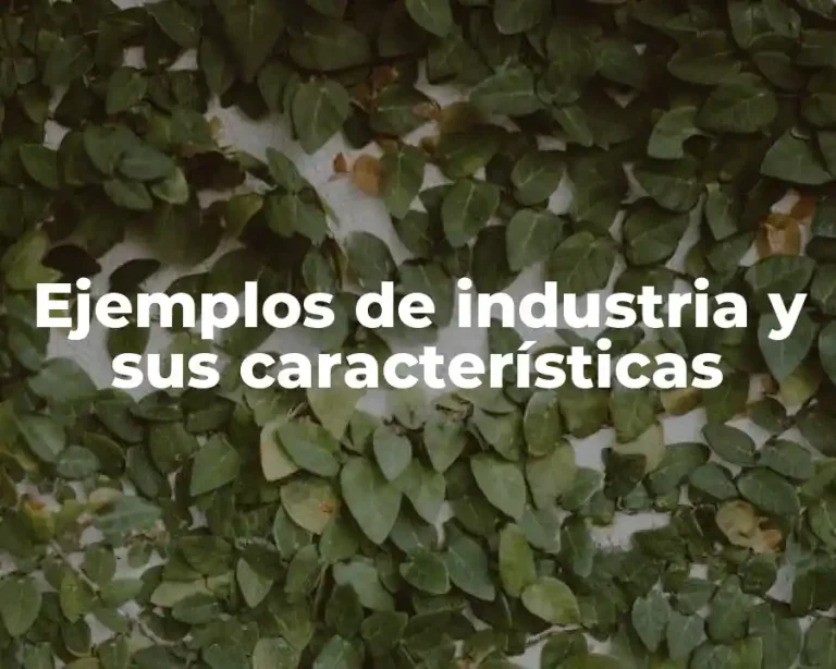 Ejemplos de industria y sus características