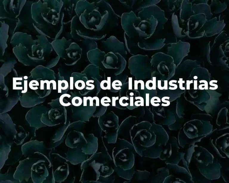 Ejemplos de Industrias Comerciales