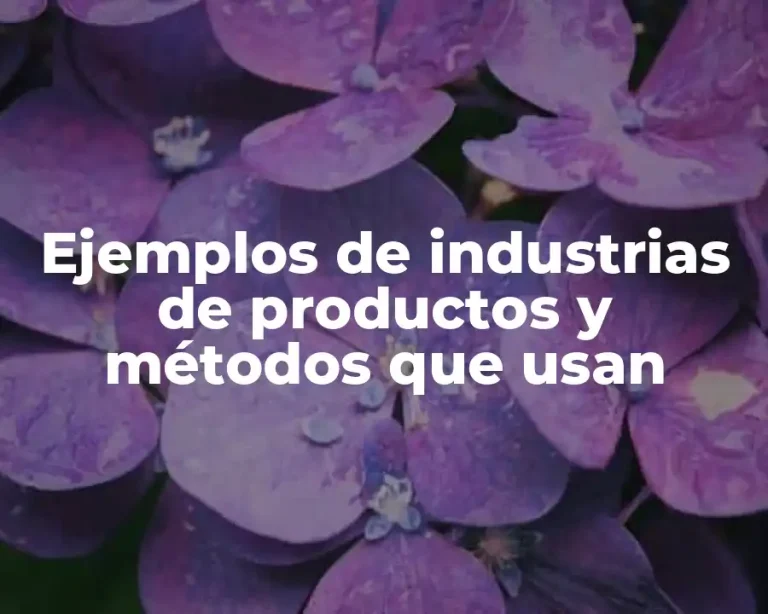 Ejemplos de industrias de productos y métodos que usan