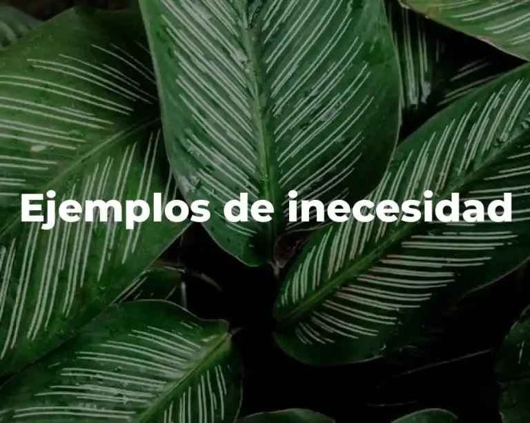 Ejemplos de inecesidad