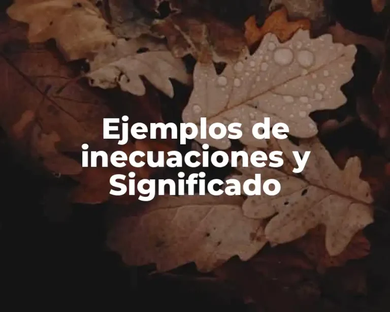 Ejemplos de inecuaciones y Significado
