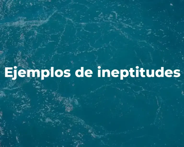 Ejemplos de ineptitudes