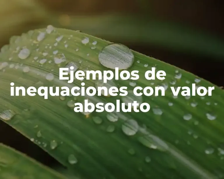 Ejemplos de inequaciones con valor absoluto