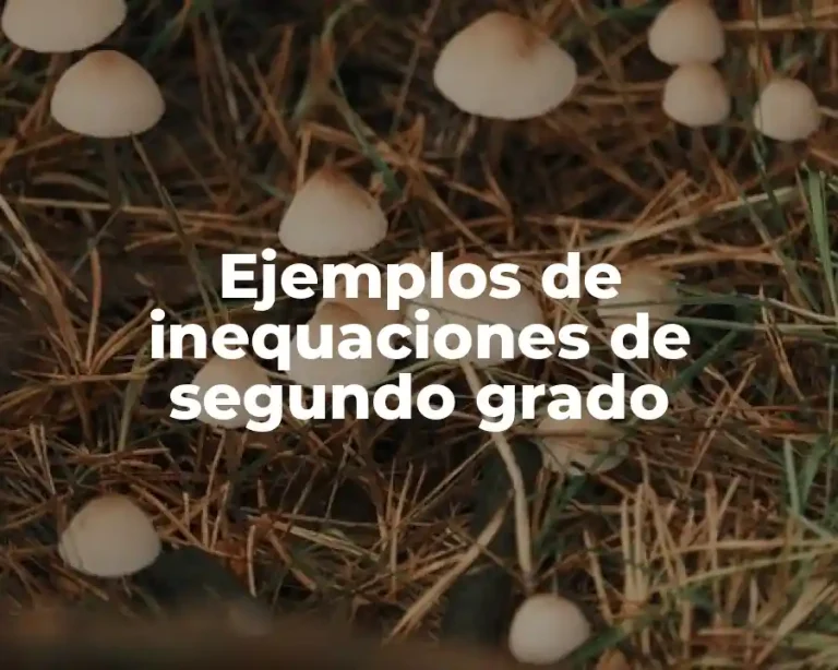 Ejemplos de inequaciones de segundo grado