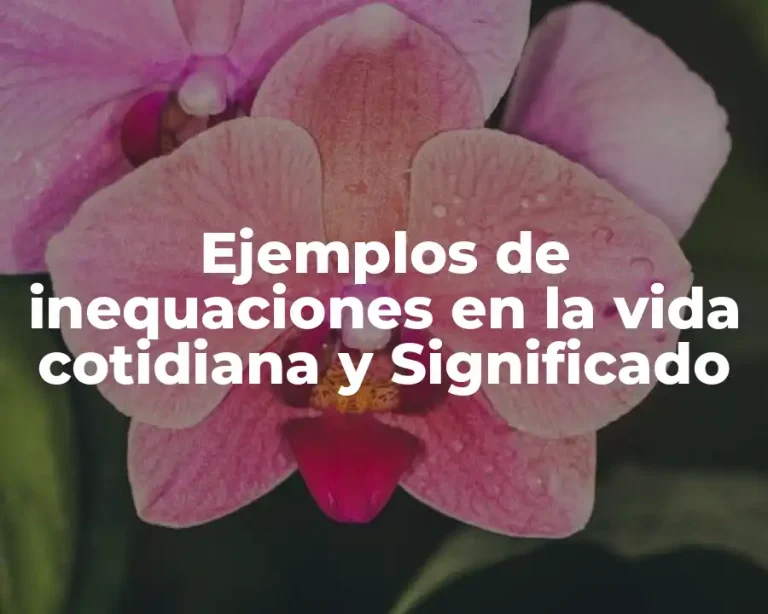 Ejemplos de inequaciones en la vida cotidiana y Significado